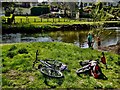 H4772 : Bikes lying along the Camowen riverbank at Cranny by Kenneth  Allen