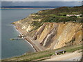 SZ3085 : Bench overlooking Alum Bay by Malc McDonald