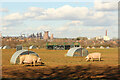 SE9007 : View from Holme Lane by Richard Croft