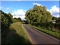 SP3087 : Weeping willow caught in a summer breeze, Breach Oak Lane, Astley by A J Paxton