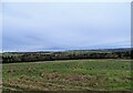 NZ0854 : View across the valley by Robert Graham