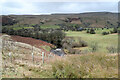 NY7803 : Small rapid in the River Eden by Andy Waddington