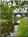 SE1719 : Bradley Viaduct over Huddersfield Broad Canal by Graham Hogg