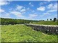 NY5221 : The valley of Whale Beck by Adrian Taylor