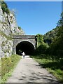 SK1272 : West portal of Rusher Cutting tunnel on Monsal Trail by David Smith