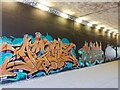 SE3118 : Horbury Underpass of Graffiti by Phillip De-Vere