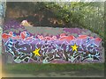 SE3118 : Horbury Underpass of Graffiti by Phillip De-Vere