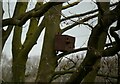 SE2336 : Little Owl nest box, Manager's Garden, Rodley Nature Reserve by Rich Tea