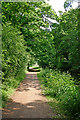 SO8885 : Canal towpath south-west of Wordsley, Dudley by Roger  D Kidd