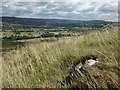 SK1383 : Hope Valley from Little Mam Tor by Katy Walters