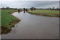  : The River Lagan near Moira by Albert Bridge