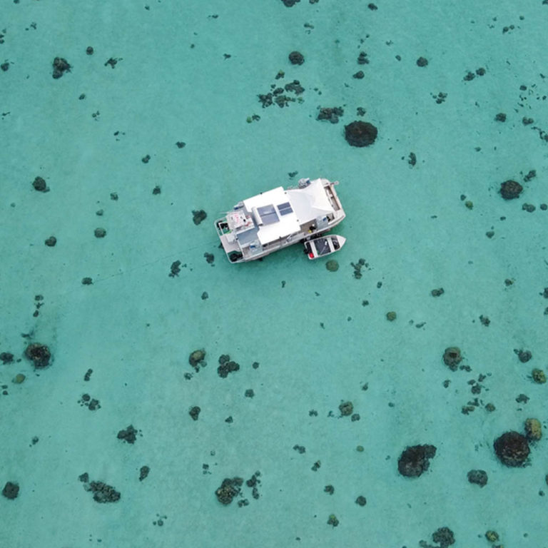 Observation in situ de la ponte des coraux sur le récif barrière de Piha'ena, à Moorea, en Polynésie française, depuis la barge scientifique Nohu-Criobe. 
© Alexandre MERCIERE / CRIOBE / CNRS Photothèque