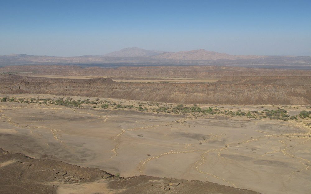 Vue du rift du Manda Hararo