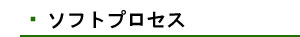 ソフトプロセス