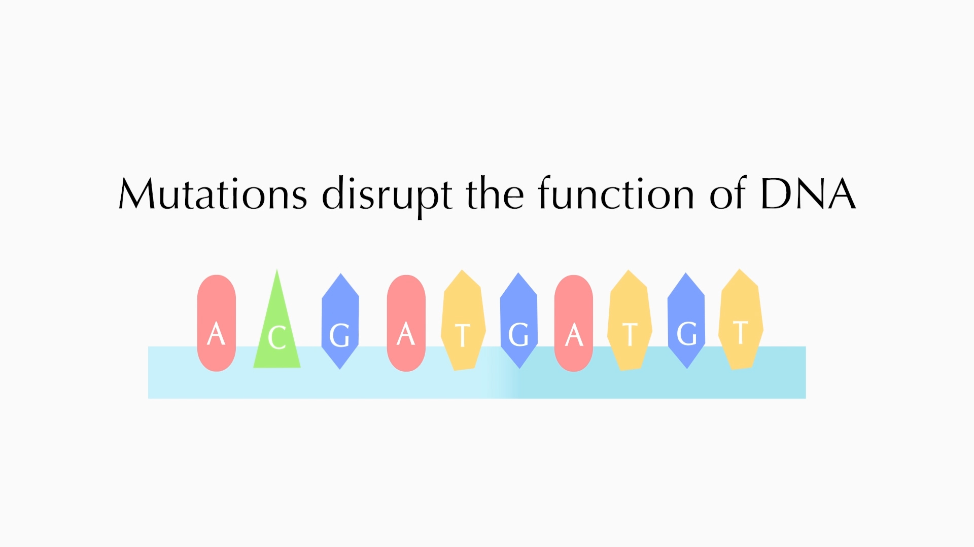 Cartoon depiction of a DNA strand with nucleotides A, C, G, and T