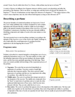 Shelves of perfumes. A closed
cabinet, to keep out note-destroying
sunlight, would be more appropriate
Fragrance pyramid
arou