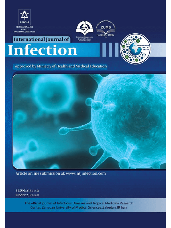 International Journal of Infection