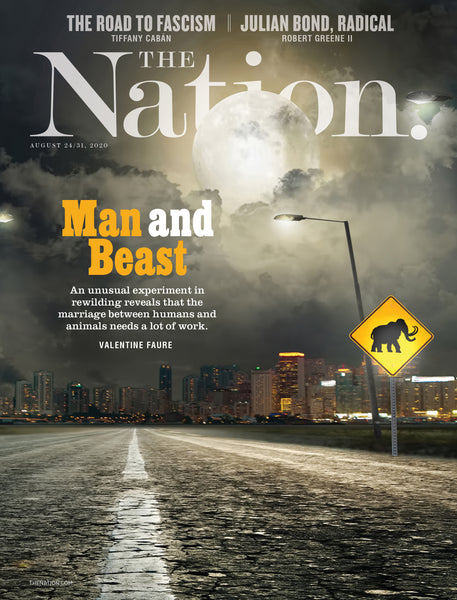 The Nation Back Issues