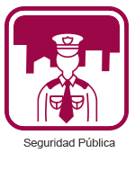 Iconos_Seguridad