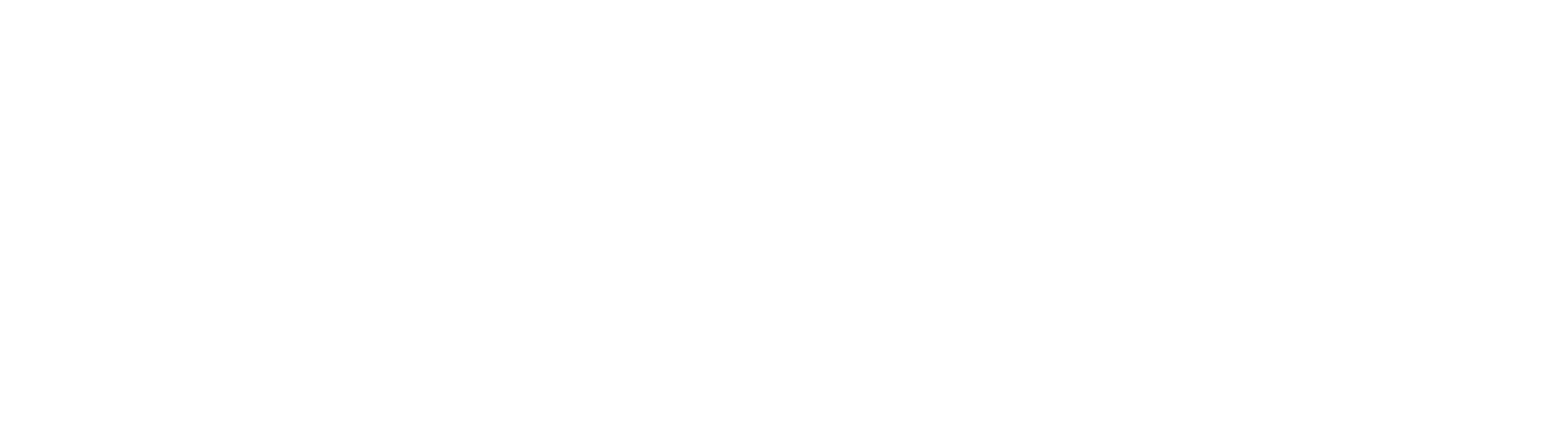 Disneyland Paris logo in white