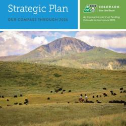 strategic plan cover