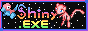 shiny EXE