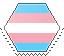 trans flag