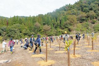 北電　植樹で森に恩返し　南越前