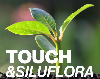 touchpr-siluflora