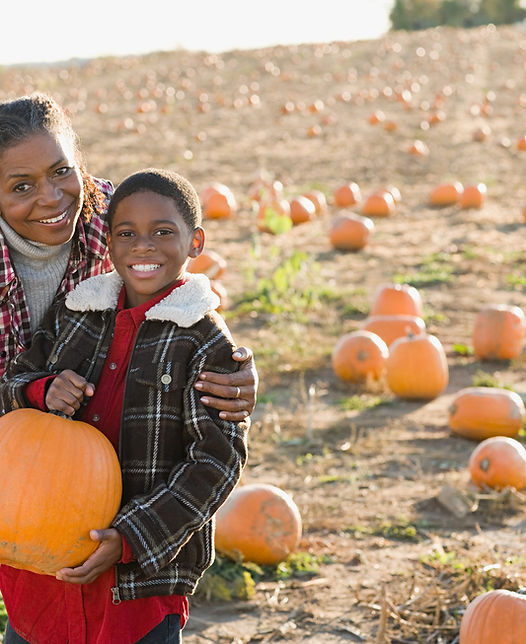 Portrait over Pumpkin Patch