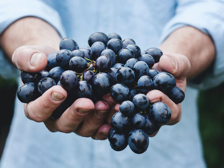 Oh, SNAP! Benefits of Food Assistance: