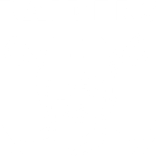 Las Vegas Raiders