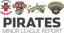 Pirates farm report for Aug. 11, 2024: Kervin Pichardo knocks in 5 runs in Altoona loss