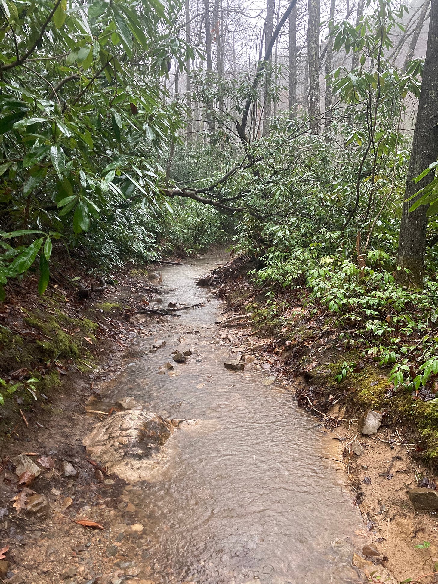 After graduating high school during Covid, it was hard to see a path. That’s why I decided to hike the Appalachian Trail, writes Elias Wachtel for The Free Press.