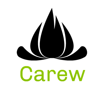 Logo of the Carew project, which uses Symfony packages