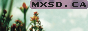 mxsd