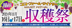 2024年11月16日（土）・17日（日）出発　ココ・ファーム・ワイナリー収穫祭 日帰りの旅