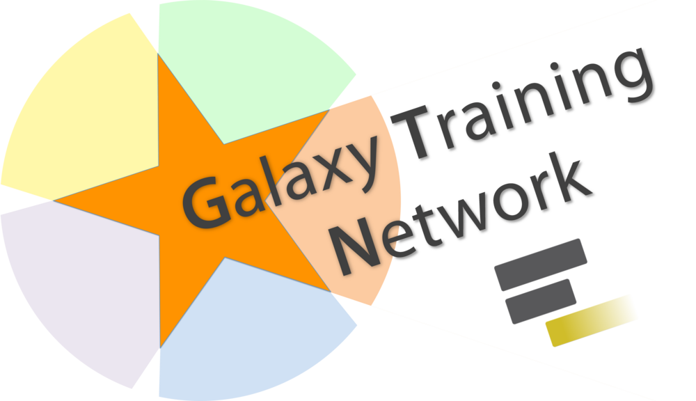 Galaxy Training Network