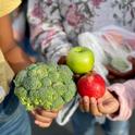 California farmers participating in the state's Farm to School Incubator Grant Program are increasing sales of fresh, organic produce, meat and dairy products to local schools.