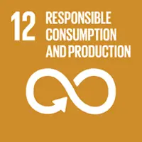 sdg12