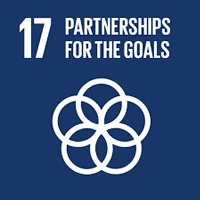 sdg17