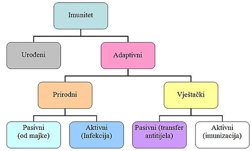 Kategorizacija imunosti