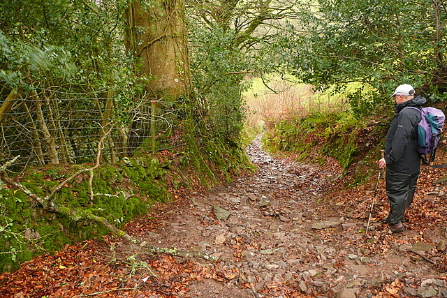 File:Bridleway to Tarr Ball - geograph.org.uk - 2788464.jpg