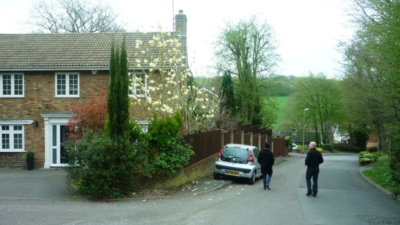 File:View down Bluebells - geograph.org.uk - 4444137.jpg