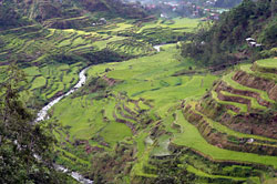 Ti Payo iti Banaue (Banaue Rice Terraces)