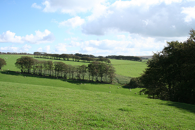 File:North Molton, near Long Holcombe Cross - geograph.org.uk - 248814.jpg