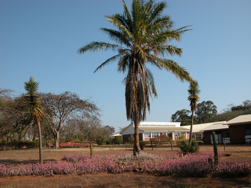 File:Bunda college.jpg