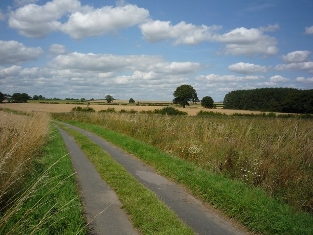 File:Bossall to Harton road - geograph.org.uk - 1435385.jpg