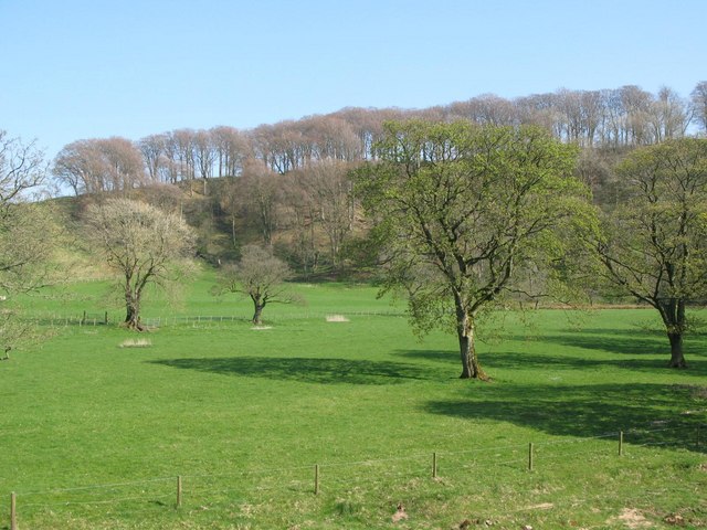 File:The valley of the River Irthing southeast of Willowford Bridge - geograph.org.uk - 1370793.jpg