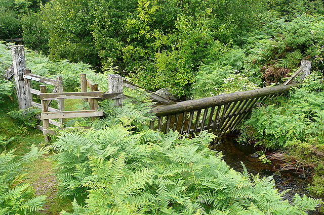 File:Crossing Weir Water - geograph.org.uk - 1987574.jpg